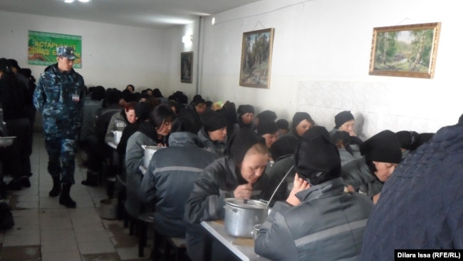 Иво Жатерник Деннис Миккелсен Джейк порно жұлдызы