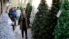 An Iranian woman walks past Christmas trees for sale in central Tehran, December 23, 2015