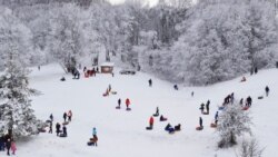 В выходные дни поучаствовать в снежных забавах приехали сотни человек
