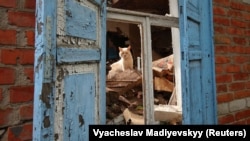 Кіт виглядає з вікна житлового будинку, зруйнованого ударом російських військових. Харків, 26 липня 2022 року