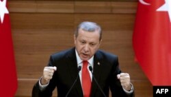 Turkish President Recep Tayyip Erdogan has displayed increasingly authoritarian tendencies ever since his AKP party swept to power in parliamentary elections 14 years ago. (file photo)