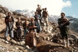 Афганські моджагеди на початку війни на сході Афганістану, 1980 рік