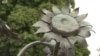 Сланечнікі з данбаскага поля. У Нідэрляндах саджаюць кветкі ў памяць аб загінулых на рэйсе MH17