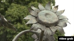 sunflowers videograb