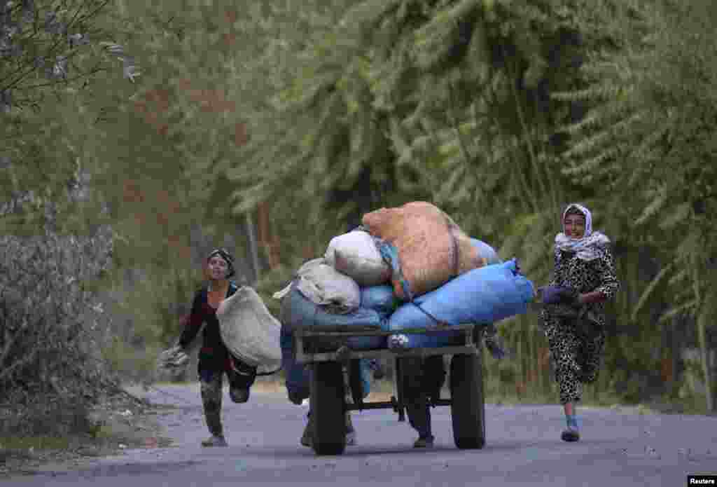 People push a cart with bags of cotton along the road near the village of Yakhak, October 10, 2013.