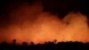 شمار آتش‌سوزی‌هایی که امسال در جنگل‌های  آمازون برزیل به وقوع پیوسته ۸۳ درصد افزایش یافته است