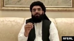 سهیل شاهین مسوول دفتر سیاسی طالبان در قطر