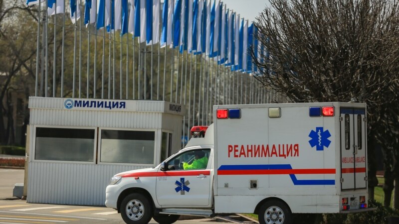 Кыргызстанец госпитализирован с подозрением на отравление аконитом, который рекламировал Жапаров
