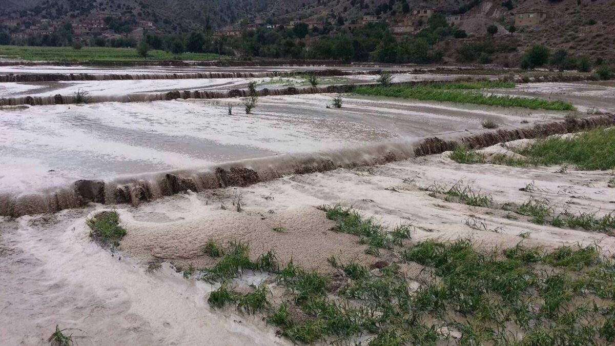 At Least 20 Killed, Hundreds Endangered In Flood-Swept Southern Afghanistan