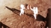 O pungă cu praf de pe Lună colectat de astronautul Neil Armstrong va fi scoasă la licitație la New York