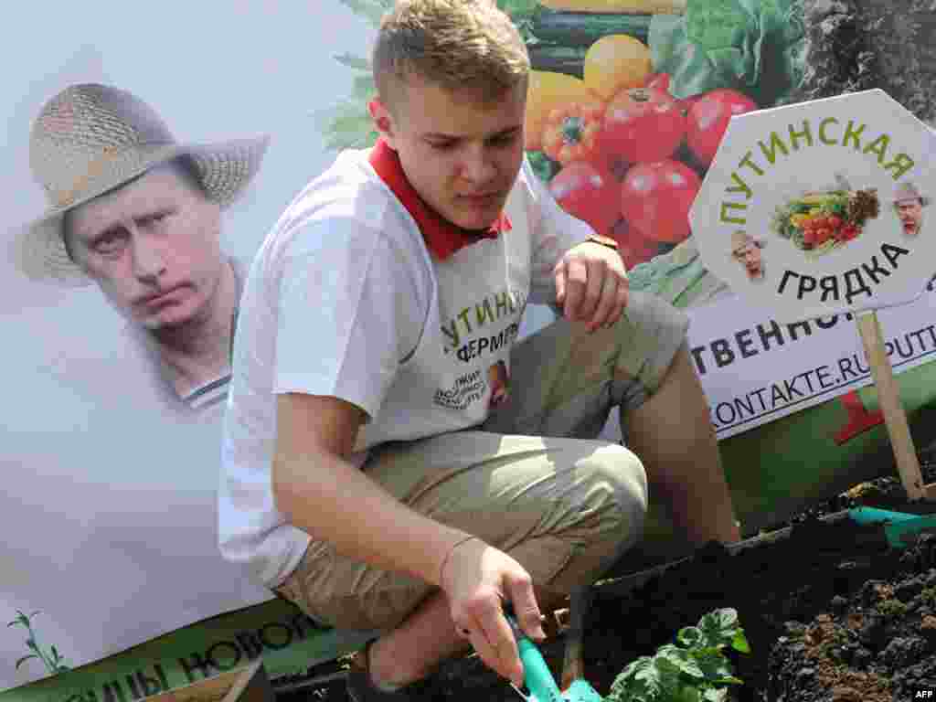 A man works on a vegetable patch in front of a poster with photos of Russian Prime Minister Vladimir Putin and a sign reading "Putin's patches" in the Arma gas factory in Moscow. Photo by Natalia Kolesnikova for AFP