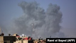بر اساس گزارش‌ها، بیشتر از هشت صد افغان در جنگ سوریه کشته شده‌اند.