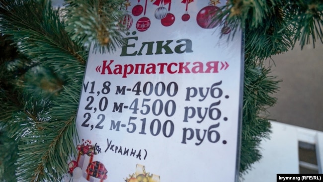 В центре оккупированного Симферополя продают карпатские елки (ФОТО) 3