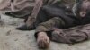 رئیس هیئت طالبان پاکستانی در فاریاب کشته شد