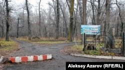 Вход в рощу Баума с юго-запада. Алматы. 7 декабря 2015 года.