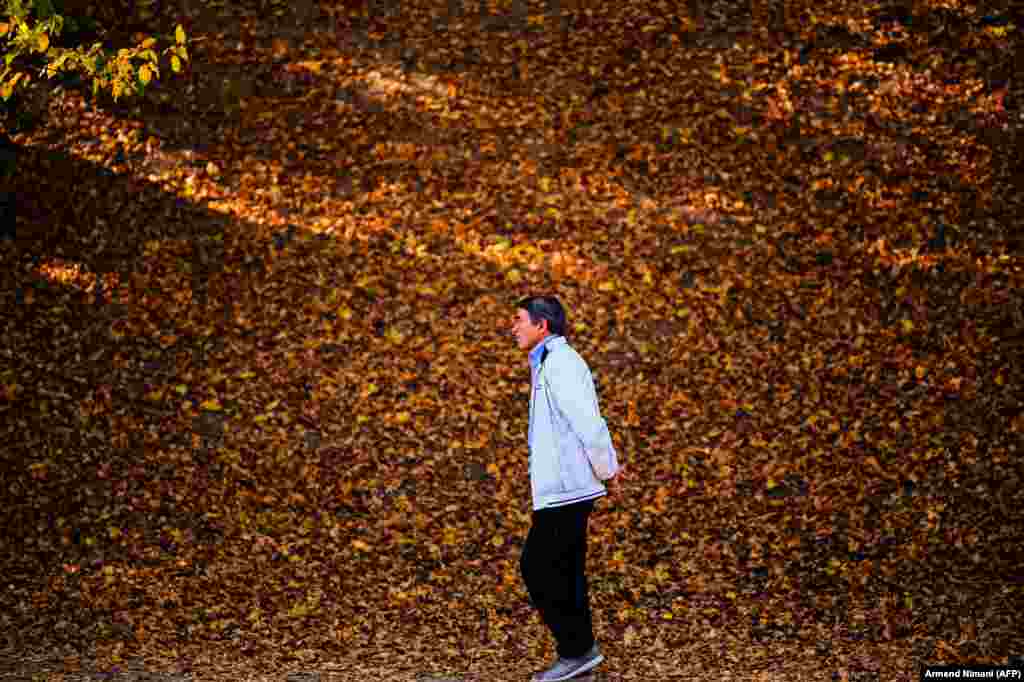 A man walks in a park covered with autumnal leaves near Kosovo&#39;s capital city, Pristina. (AFP/Armend Nimani)