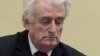 Doživotni zatvor za Karadžića, 'pravda za sve žrtve'