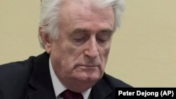 Radovan Karadžić na izricanju konačne presude, Hag, 20. mart 2019.