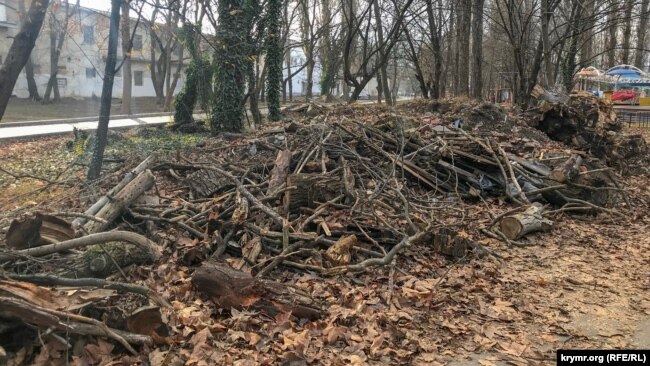 Остатки спиленных деревьев в Гагаринском парке