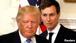 Trump-ın kürəkəni Jared Kushner də təhqiqat altındadır