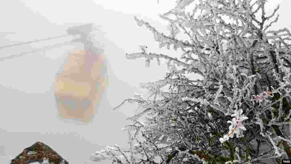 Плато Ай-Петри в Ялте засыпает снегом