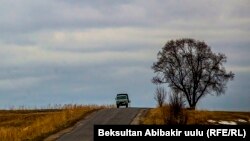 Иллюстративное фото.