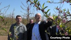 Kandidat za predsednika Srbije i lider DS Boris Tadić u obilasku voćnjaka Slavoljuba Mijailovića u Selevcu kraj Smederevske Palanke, foto: Tanjug