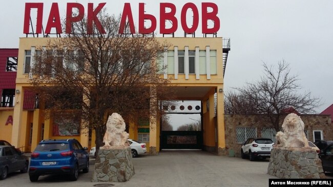 Медведи под прицелом. В сафари-парке хотят усыпить животных из-за судов