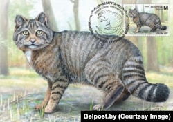 Лясны кот