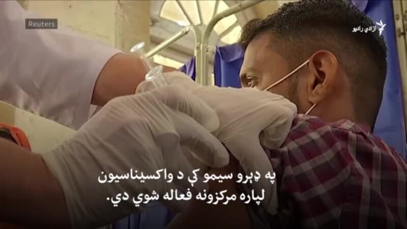 پاکستان د کرونا واکسین پیلوي