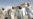UN's Afghan Envoy Concerned Over U.S. Detention Centers