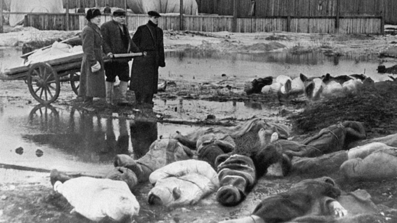 Russian Prosecutors Seek To Recognize Nazi Crimes In Moscow Region As Genocide