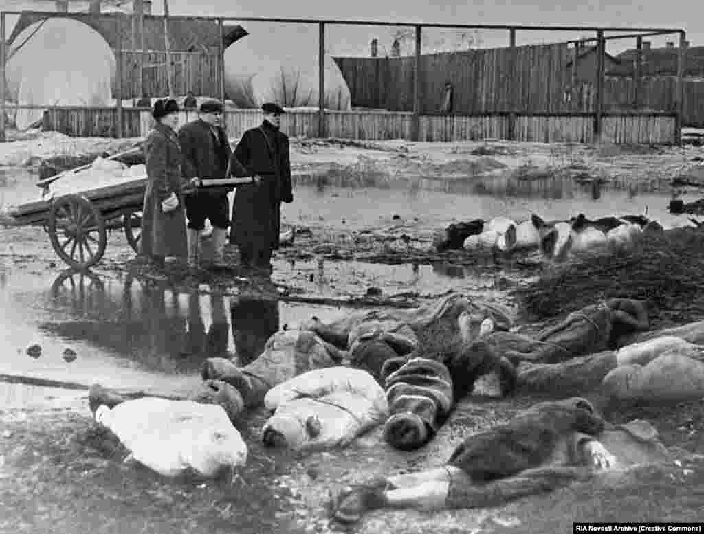 Ер адамдар 1942 жылы қазанда нацистер қоршауындағы Ленинград көшесінде құрбан болған адамдарды жинап жүр. Ленинградты жаулай алмаған нацистер қаланы қоршап алып, халықты аштан қырмақшы болды.
