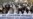 Pakistan: Judicial Crisis Adds To Pressure On President