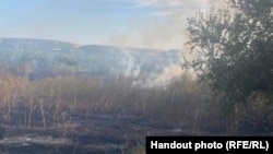 Poliția moldoveană a publicat aceste imagini, înfățișând urmările unei explozii într-un lan de porumb din satul Talmaza, după ce un aparat de zbor neidentificat a pătruns pe teritoriul moldovean, pe 17 august