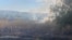 Poliția moldoveană a publicat aceste imagini, înfățișând urmările unei explozii într-un lan de porumb din satul Talmaza, după ce o presupusă dronă cu reacție a pătruns pe teritoriul moldovean, pe 17 august