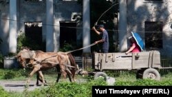 Причиной опустения сел местные жители называют неразвитую инфраструктуру и отсутствие работы