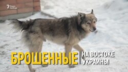 Брошенные на Востоке Украины