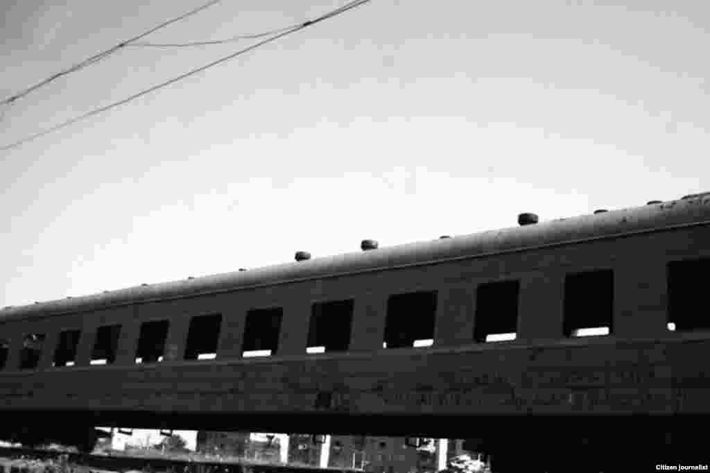 102 ნაილი ვექილი: უსათაურო