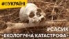 Сасик «екологічна катастрофа» | #ВУКРАЇНІ