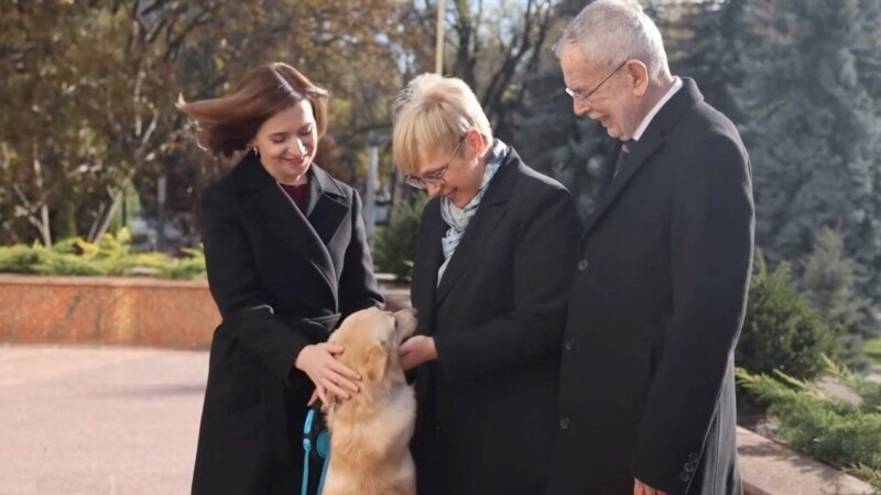 Moldova's Presidential Pooch Takes A Bite Out Of International Relations During Austrian Leader's Visit