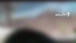 چين کې د پانډاګانو زوکړې ورځ لمانځل شوې