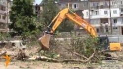 Քաղաքապետը խայտառակություն է որակել ծառահատումը