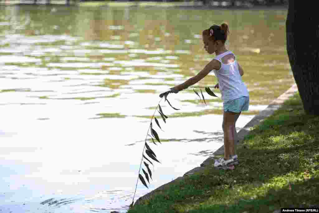 O fetiță se joacă cu o creangă de salcie pe lacul din Parcul Alexandru Ioan Cuza din București. Pe fondul temperaturilor extreme, oamenii preferă să își petreacă timpul în parcuri sau în apropierea lacurilor.