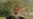 Pakistan Denies Iran Bomb Link