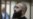 Caucasus Insurgent's Trial Begins