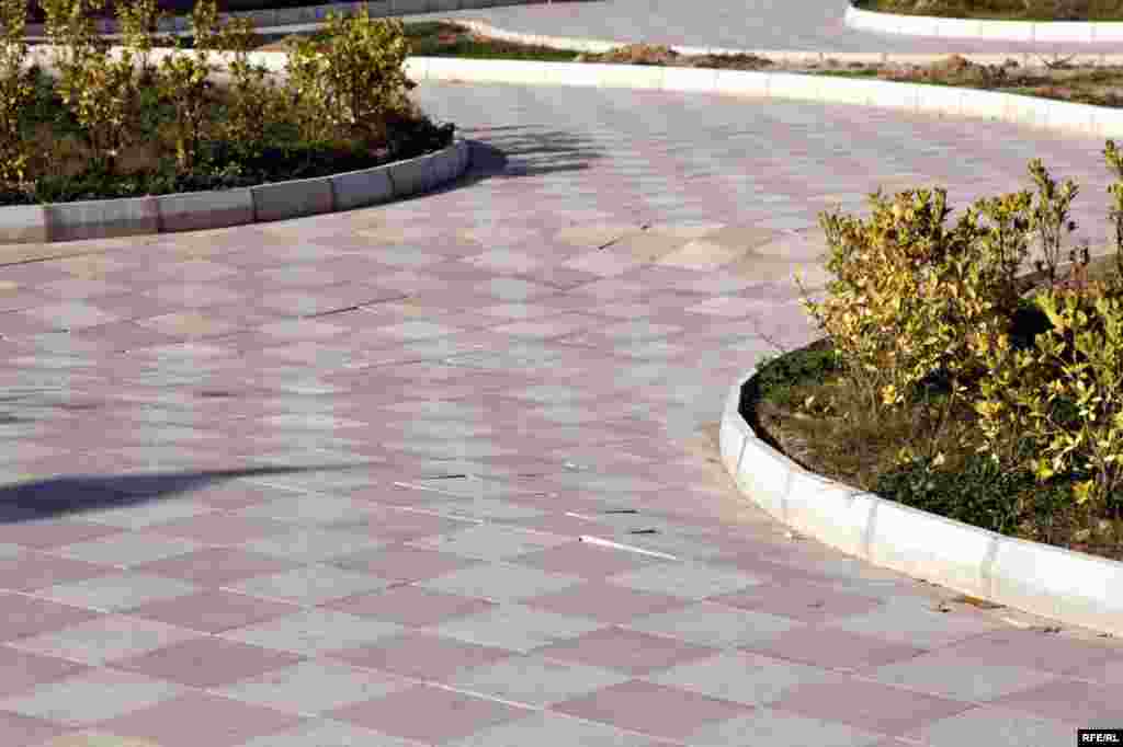 1 yaşlı qoca park #10