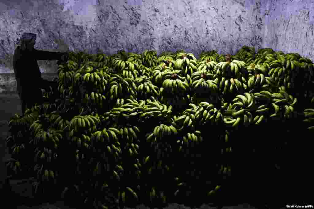 An laborer arranges bananas after unloading them from a truck in a warehouse at a fruit market in Kabul. (AFP/Wakil Kohsar)