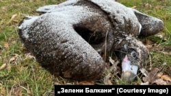 Как някой трови защитени лешояди, а наказани никога няма