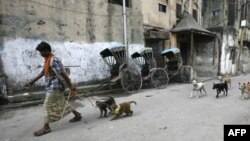 A man in Kolkata, India, walks with his monkeys as they are trailed by stray dogs.